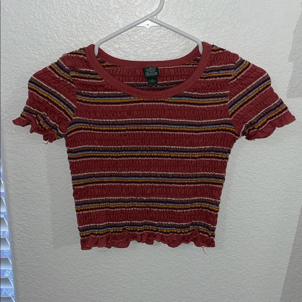 Colorful Wild Fable Crop Top